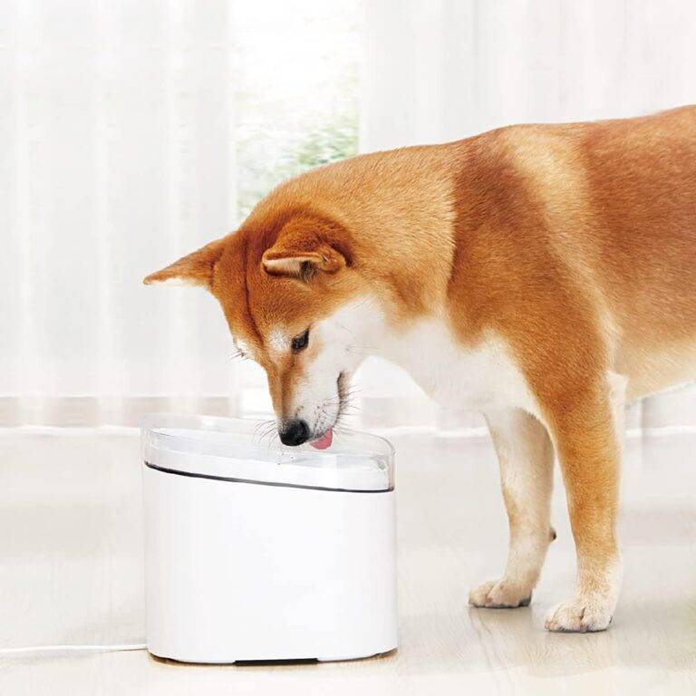 Xiaomi Smart Automatic Pet Water Dispenser Fountain