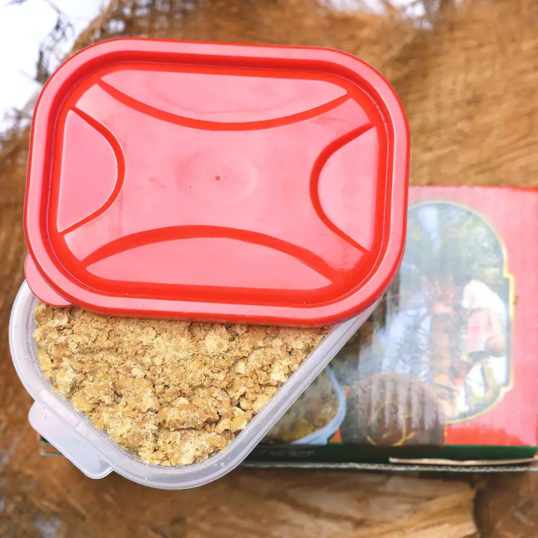 খেজুর গুড় (বিজ / চকলেট) | Khejur Gur (Bij Gur/Chocolate Gur)