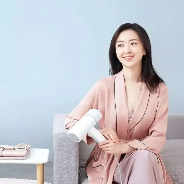 Xiaomi Lofans GT-306 Handheld Steam Iron Brush