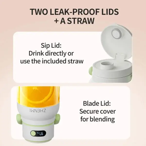 Zhenmi ZMGZ-J15 Large Capacity Portable Juicer