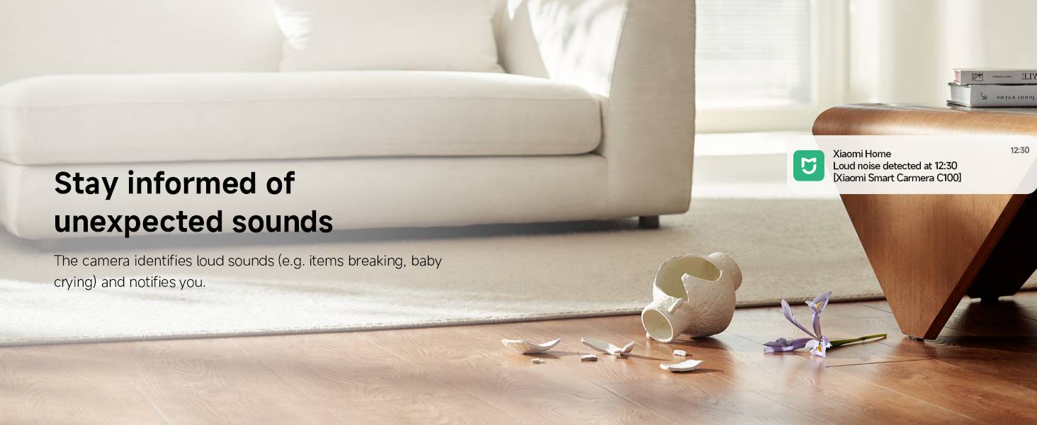 Xiaomi Smart Camera C100