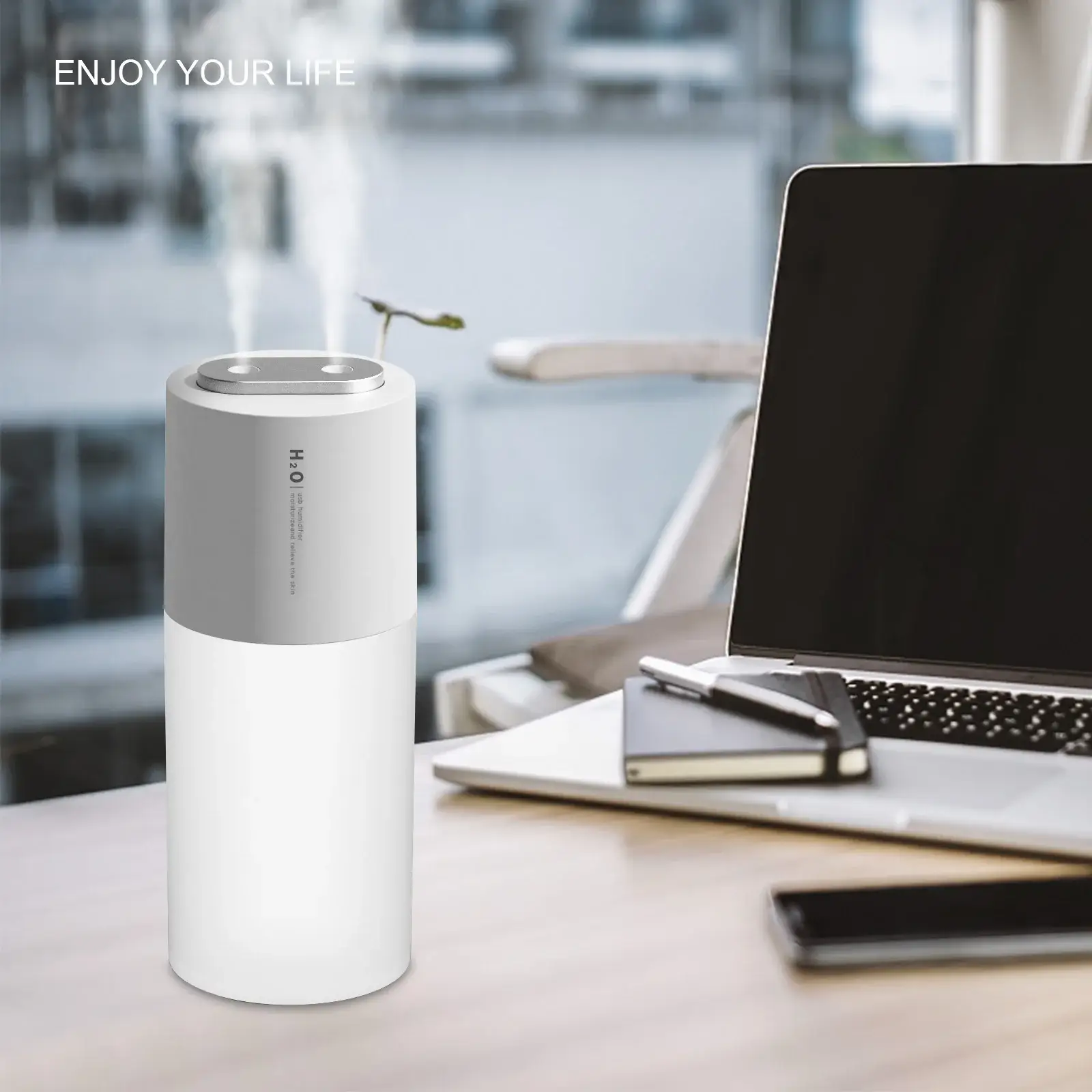 Dual Spray Port Ultrasonic Air Humidifier with LED Light Cool Mist Diffuser