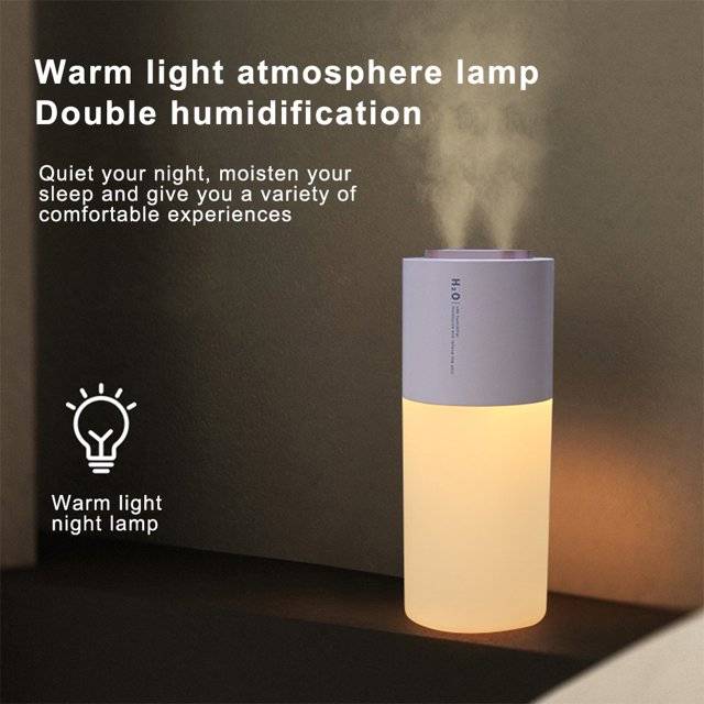 Dual Spray Port Ultrasonic Air Humidifier with LED Light Cool Mist Diffuser