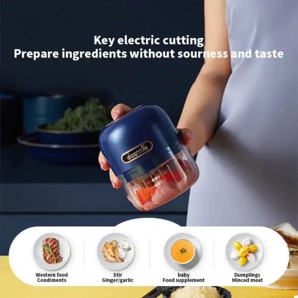 Deerma Pro Mini Electric Food Chopper Garlic Stirrer