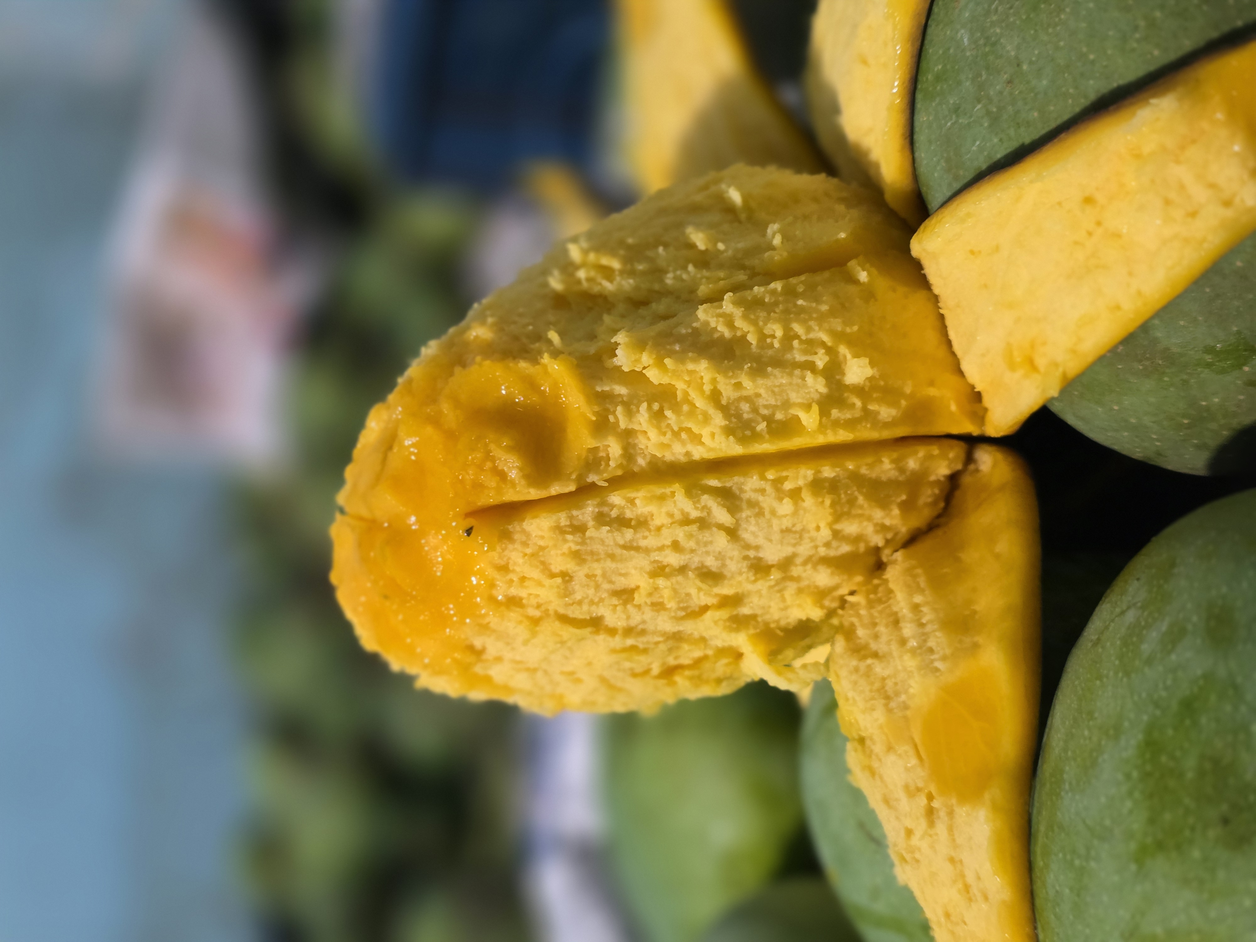Goromoti/ গৌরমতি Goromoti/ গৌরমতি