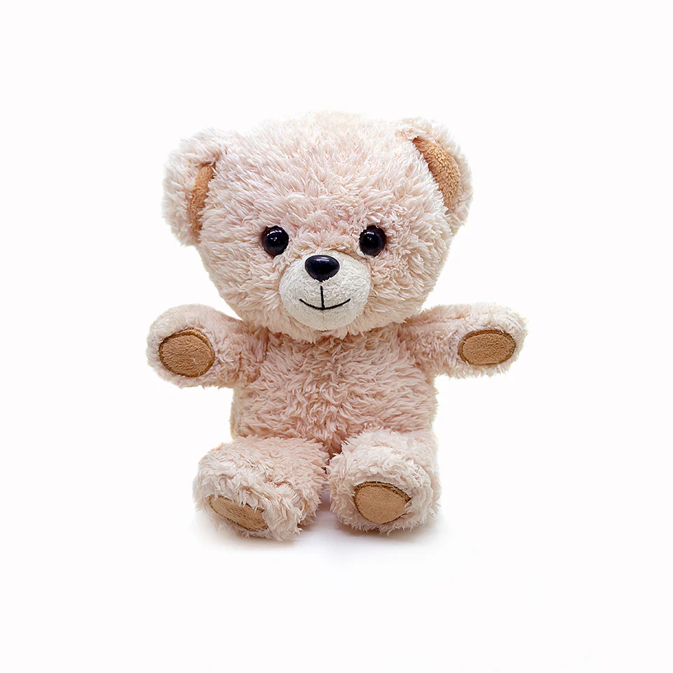 Brown Teddy